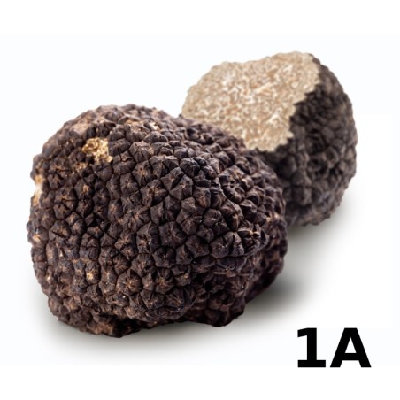 Burgunder-Trüffel 1A-Speisequalität (CH)