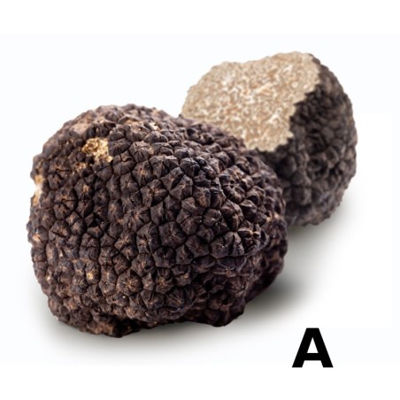 Burgunder-Trüffel A-Speisequalität (CH)